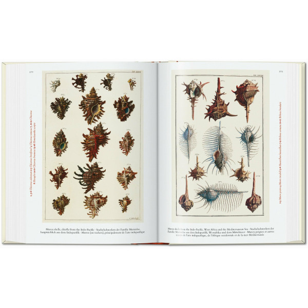 Cabinet of Natural Curiosities. 40th Ed.