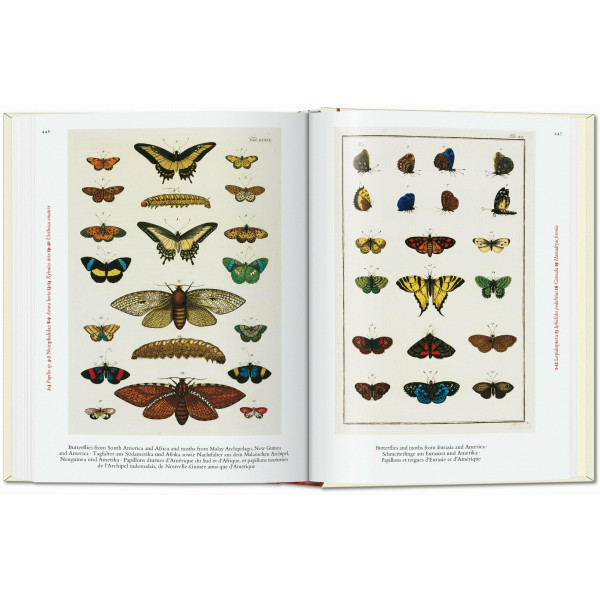 Cabinet of Natural Curiosities. 40th Ed.