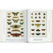 Cabinet of Natural Curiosities. 40th Ed.