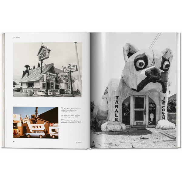 California Crazy. American Pop Architecture