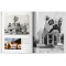 California Crazy. American Pop Architecture