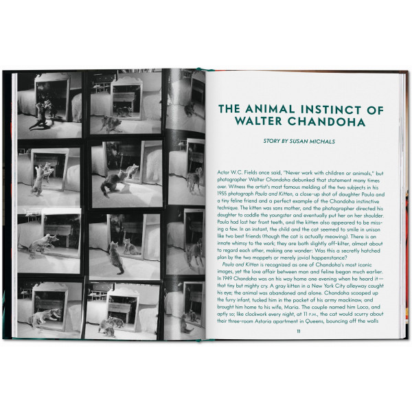 Walter Chandoha. Cats. Photographs 1942–2018