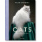 Walter Chandoha. Cats. Photographs 1942–2018 Walter Chandoha. Cats. Photographs 1942–2018