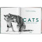 Walter Chandoha. Cats. Photographs 1942–2018 Walter Chandoha. Cats. Photographs 1942–2018