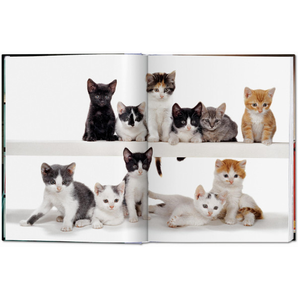 Walter Chandoha. Cats. Photographs 1942–2018 Walter Chandoha. Cats. Photographs 1942–2018