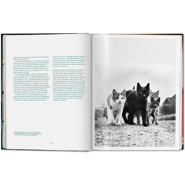 Walter Chandoha. Cats. Photographs 1942–2018 Walter Chandoha. Cats. Photographs 1942–2018