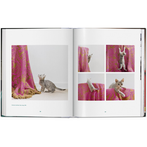 Walter Chandoha. Cats. Photographs 1942–2018 Walter Chandoha. Cats. Photographs 1942–2018