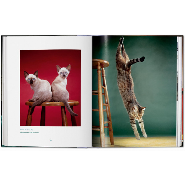 Walter Chandoha. Cats. Photographs 1942–2018 Walter Chandoha. Cats. Photographs 1942–2018