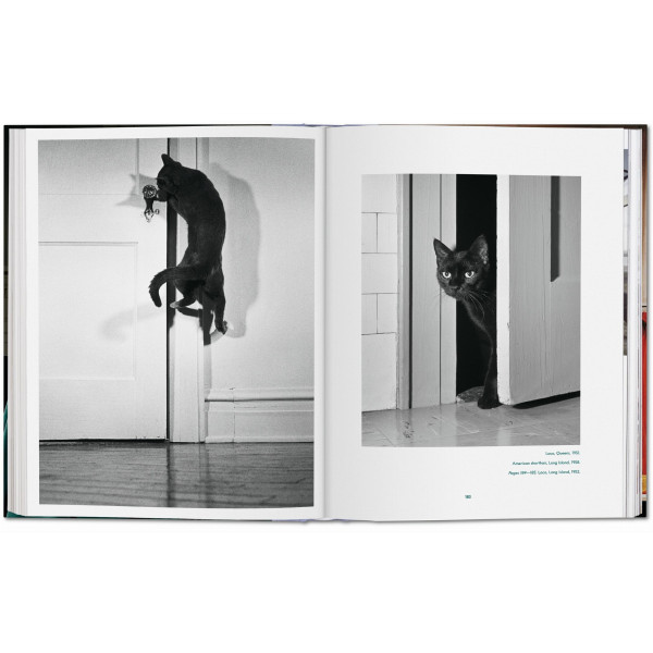 Walter Chandoha. Cats. Photographs 1942–2018 Walter Chandoha. Cats. Photographs 1942–2018