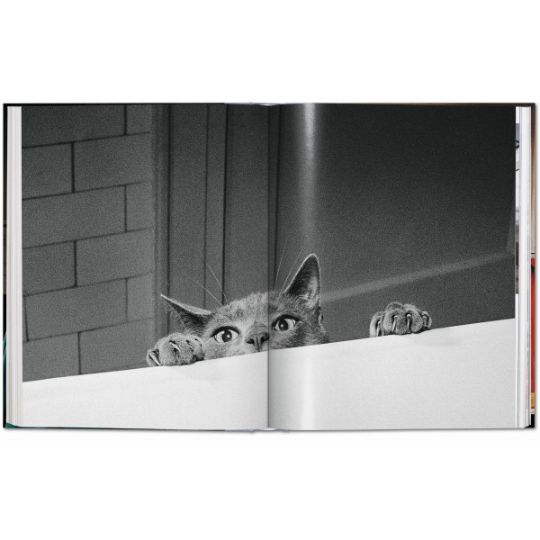 Walter Chandoha. Cats. Photographs 1942–2018 Walter Chandoha. Cats. Photographs 1942–2018
