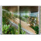 Contemporary Japanese Architecture