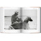 Dog in Photography