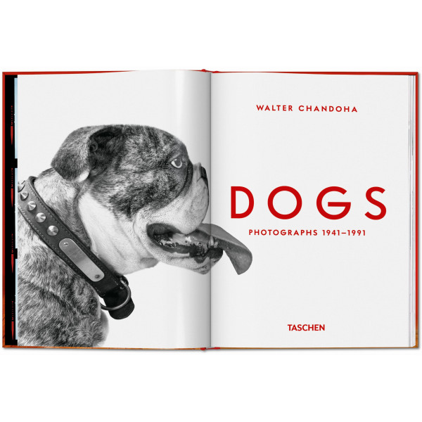Walter Chandoha. Dogs. Photographs 1941–1991