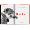 Walter Chandoha. Dogs. Photographs 1941–1991