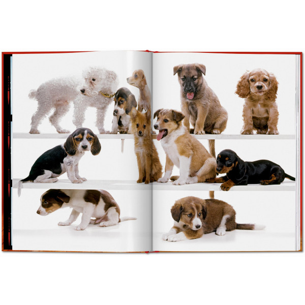 Walter Chandoha. Dogs. Photographs 1941–1991