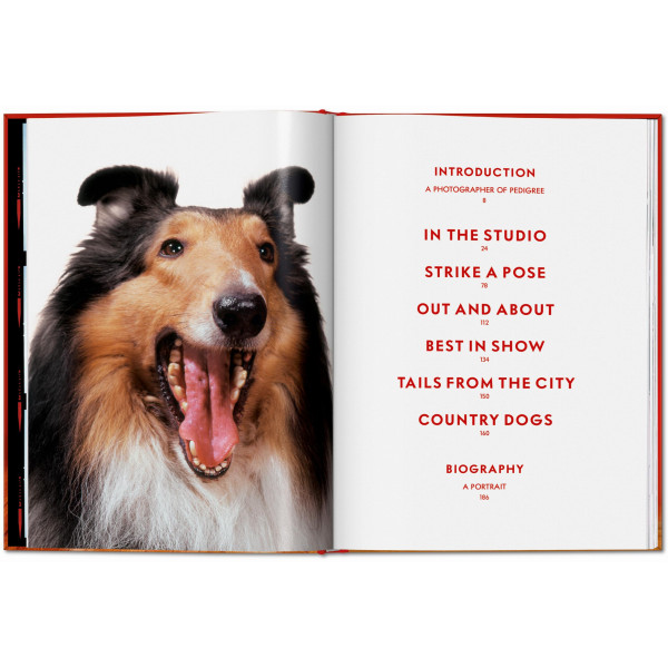 Walter Chandoha. Dogs. Photographs 1941–1991