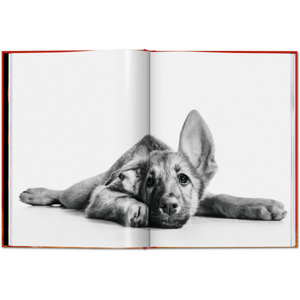 Walter Chandoha. Dogs. Photographs 1941–1991