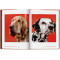 Walter Chandoha. Dogs. Photographs 1941–1991