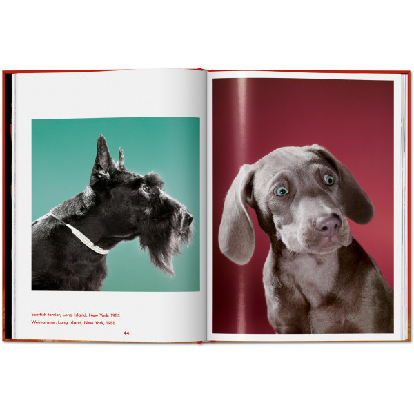 Walter Chandoha. Dogs. Photographs 1941–1991