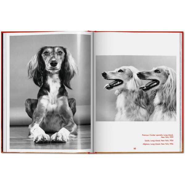 Walter Chandoha. Dogs. Photographs 1941–1991