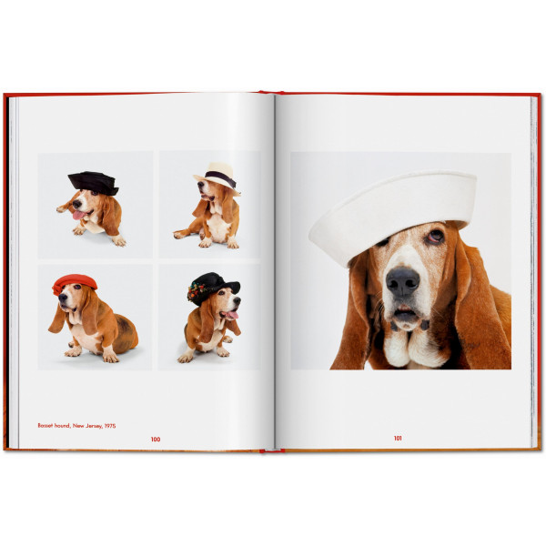 Walter Chandoha. Dogs. Photographs 1941–1991