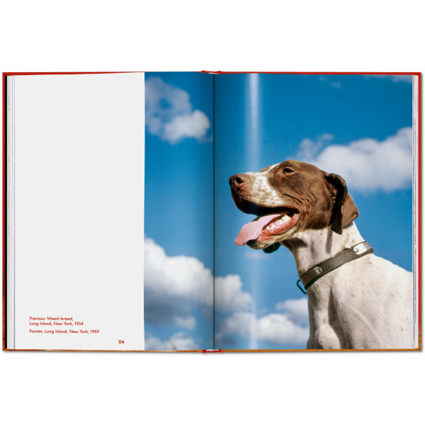 Walter Chandoha. Dogs. Photographs 1941–1991