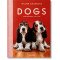 Dogs. Photographs 1941–1991