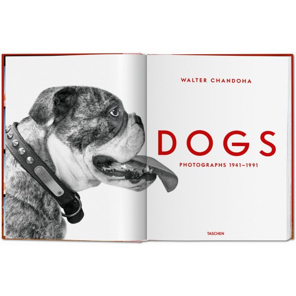 Dogs. Photographs 1941–1991