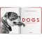 Dogs. Photographs 1941–1991