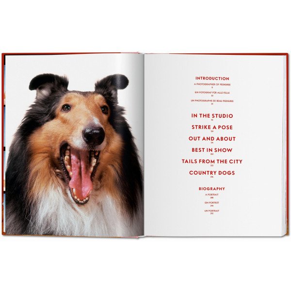 Dogs. Photographs 1941–1991