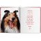 Dogs. Photographs 1941–1991