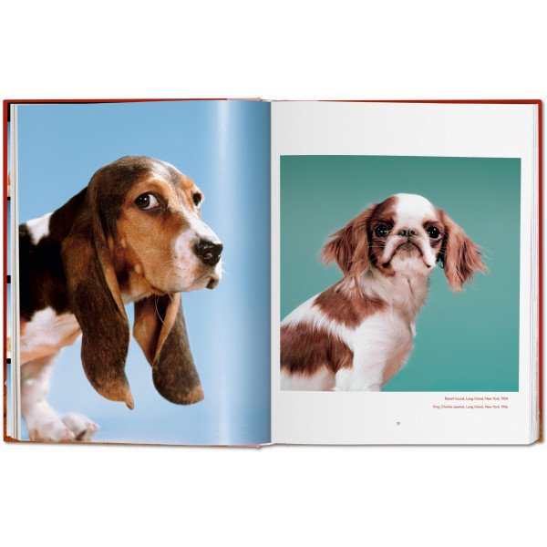 Dogs. Photographs 1941–1991