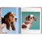 Dogs. Photographs 1941–1991