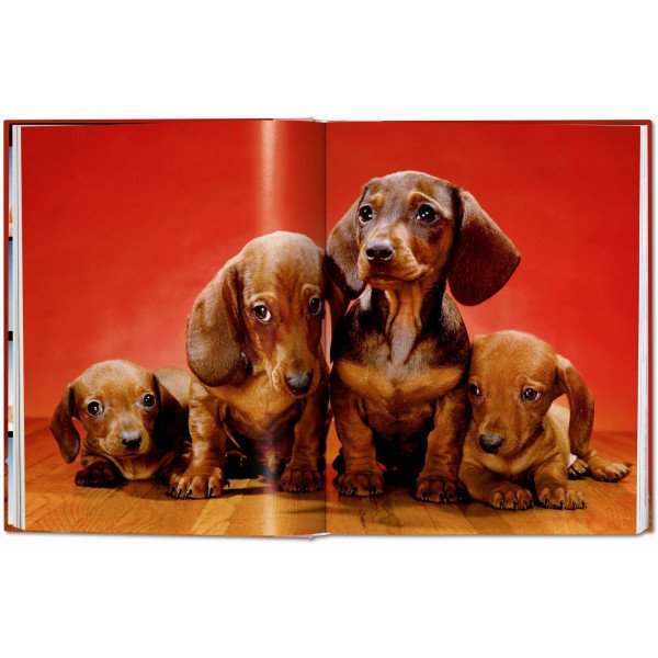Dogs. Photographs 1941–1991