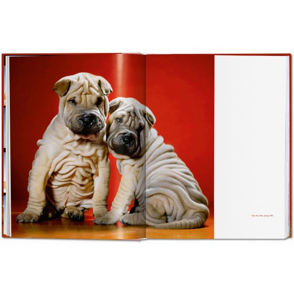 Dogs. Photographs 1941–1991