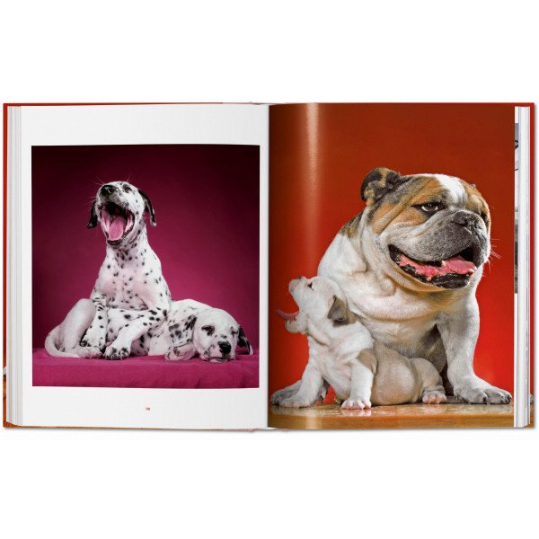Dogs. Photographs 1941–1991