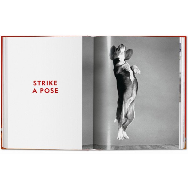 Dogs. Photographs 1941–1991