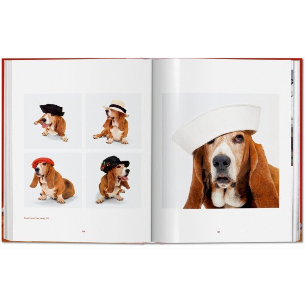 Dogs. Photographs 1941–1991