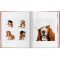 Dogs. Photographs 1941–1991