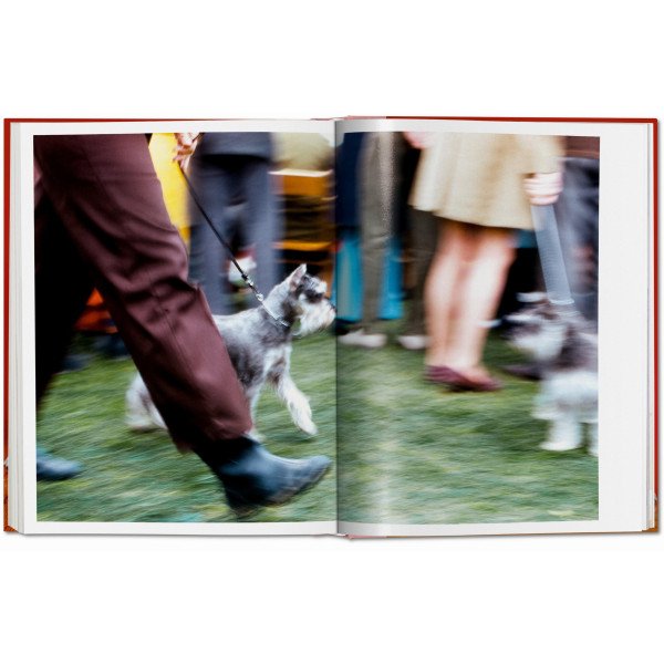 Dogs. Photographs 1941–1991