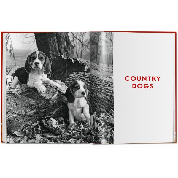 Dogs. Photographs 1941–1991