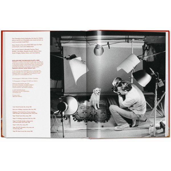 Dogs. Photographs 1941–1991