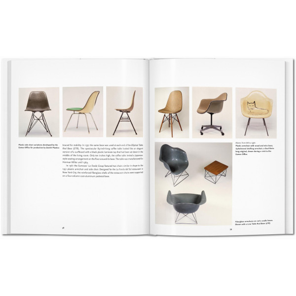 Eames (Basic Art)