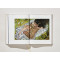Egon Schiele. The Complete Paintings 1909–1918 (XXL)