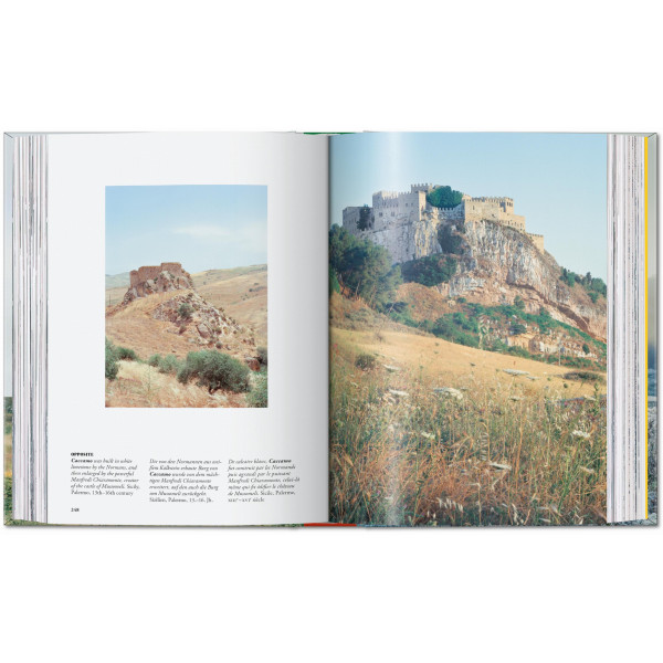 Frédéric Chaubin. Stone Age. 45th Ed.