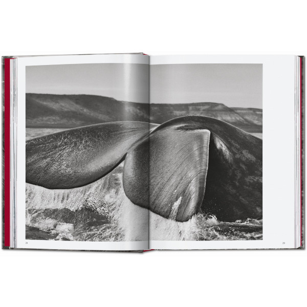 Sebastião Salgado. Genesis. 45th Ed.