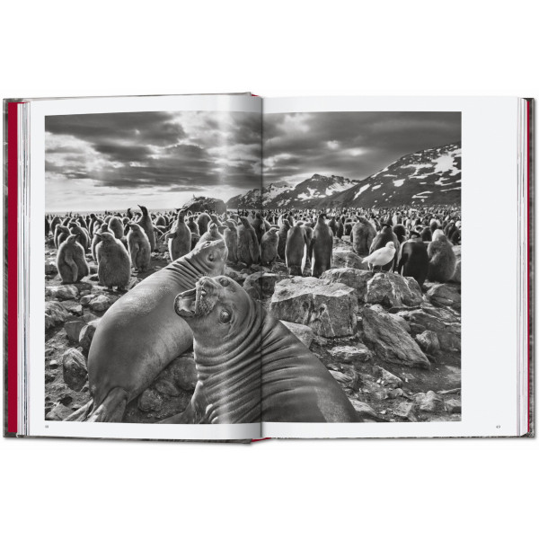 Sebastião Salgado. Genesis. 45th Ed.