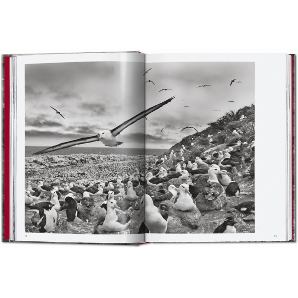 Sebastião Salgado. Genesis. 45th Ed.