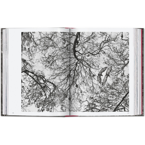 Sebastião Salgado. Genesis. 45th Ed.