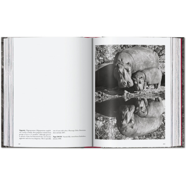 Sebastião Salgado. Genesis. 45th Ed.